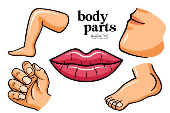 Body Parts Illustration Pack 02: A Resource Evaluation